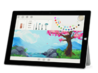 铁山Surface 无法开启、Windows 无法启动或电池无法充电